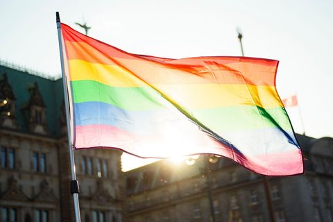 Im Norden wurden zuletzt mehr queerfeindliche Straftaten registriert. (Symbolbild) Foto: Gregor Fischer/dpa