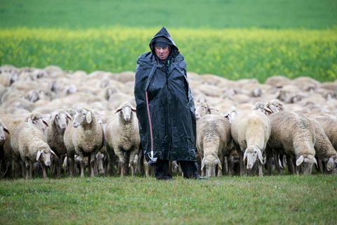 Das Wetter bleibt erst einmal ungemütlich im Südwesten. (Archivbild) Foto: Thomas Warnack/dpa