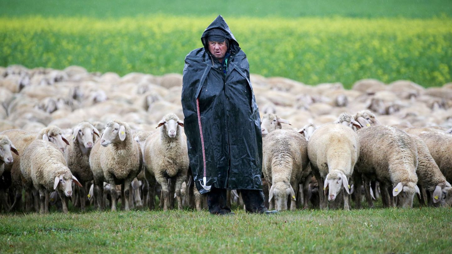 Das Wetter bleibt erst einmal ungemütlich im Südwesten. (Archivbild) Foto: Thomas Warnack/dpa