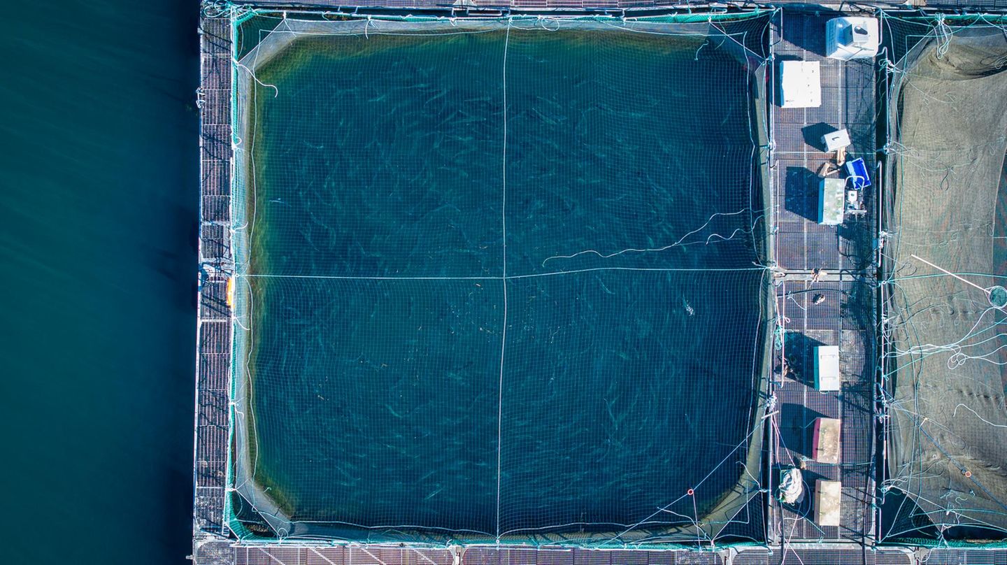 Dense Waters, 2025, Scotland, UK