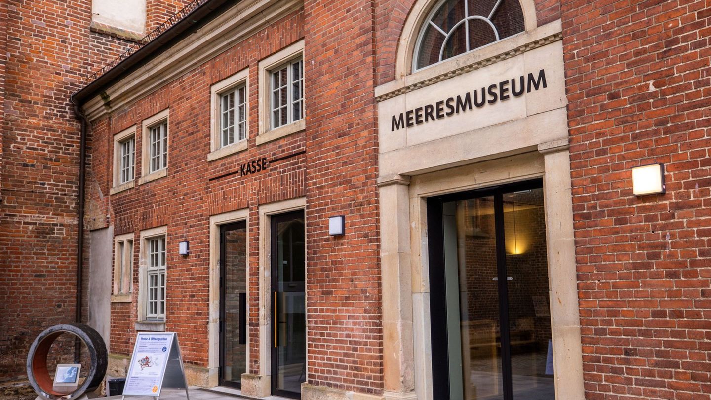 Die Experten des Deutschen Meeresmuseums hoffen - falls der tote Wal der Buckelwal von der Insel Poel ist - auf eine Untersuchun