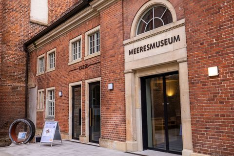Die Experten des Deutschen Meeresmuseums hoffen - falls der tote Wal der Buckelwal von der Insel Poel ist - auf eine Untersuchun