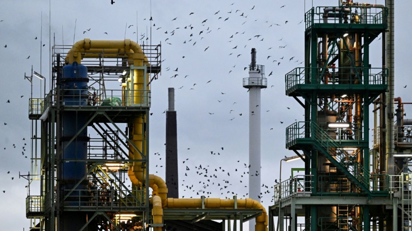 Chemieanlage in Frankfurt am Main im Jahr 2025