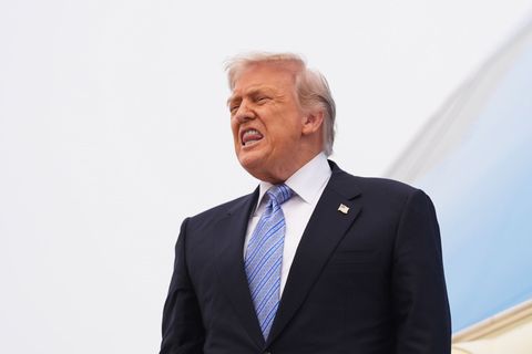 Trump plant neuen Garten in Washington Foto: Mark Schiefelbein/AP/dpa