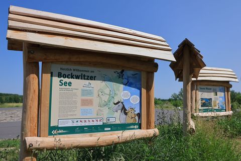 Informationstafeln am Naturlehrpfad Bockwitzer See sind durch Vandalismus beschädigt worden. (Archvibild) Foto: Jan Woitas/dpa