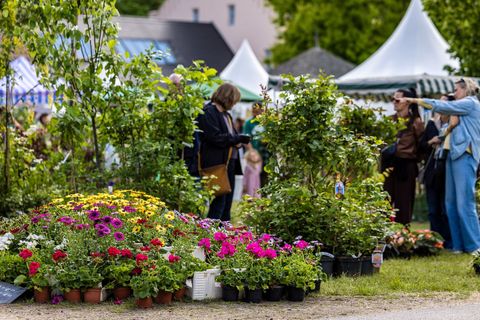 Menschen besuchen das Branitzer Gartenfestival. Foto: Frank Hammerschmidt/dpa