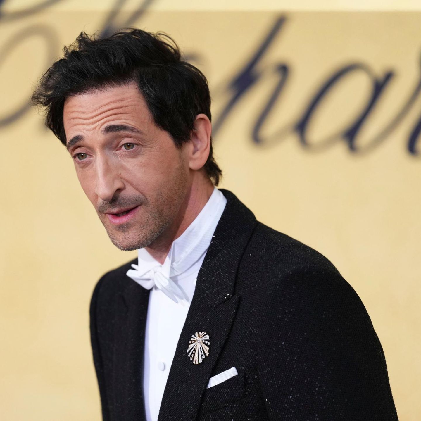 Adrien Brody posiert für Fotografen