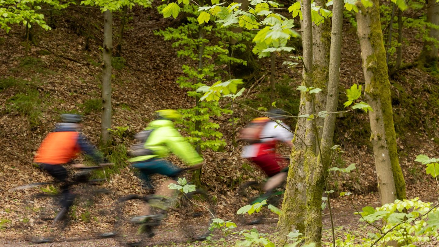 Das Radfahren im Wald soll in NRW eingeschränkt werden. (Symbolbild) Foto: Michael Reichel/dpa
