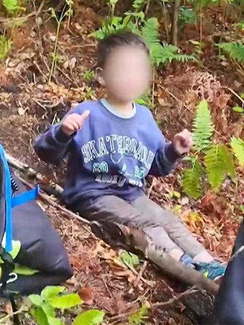 Kleiner Junge überlebt drei Tage allein im Bären-Wald