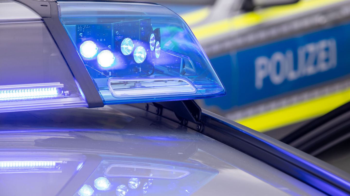 Die Bundespolizei hielt den Lastwagenfahrer schließlich an. (Symbolbild) Foto: Daniel Karmann/dpa