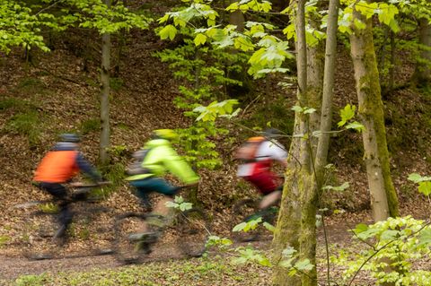 Das Radfahren im Wald soll in NRW eingeschränkt werden. (Symbolbild) Foto: Michael Reichel/dpa