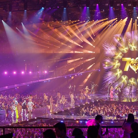Der 70. Eurovision Song Contest - kurz ESC - fand in Wien statt. Foto: Jens Büttner/dpa