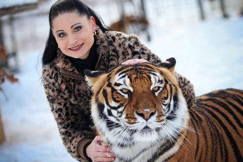 Tiger-Dompteurin Carmen Zander arbeitete früher im Zirkus