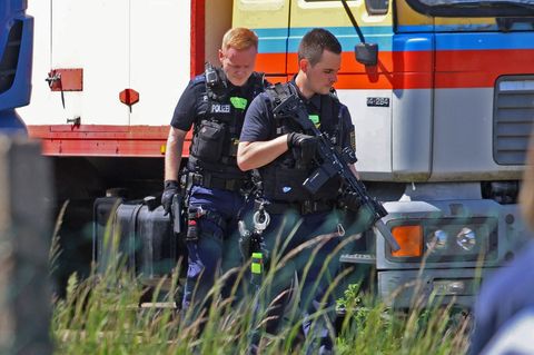 Die Polizei hat bei Leipzig einen Tiger erschossen. Foto: -/EHL Media/dpa