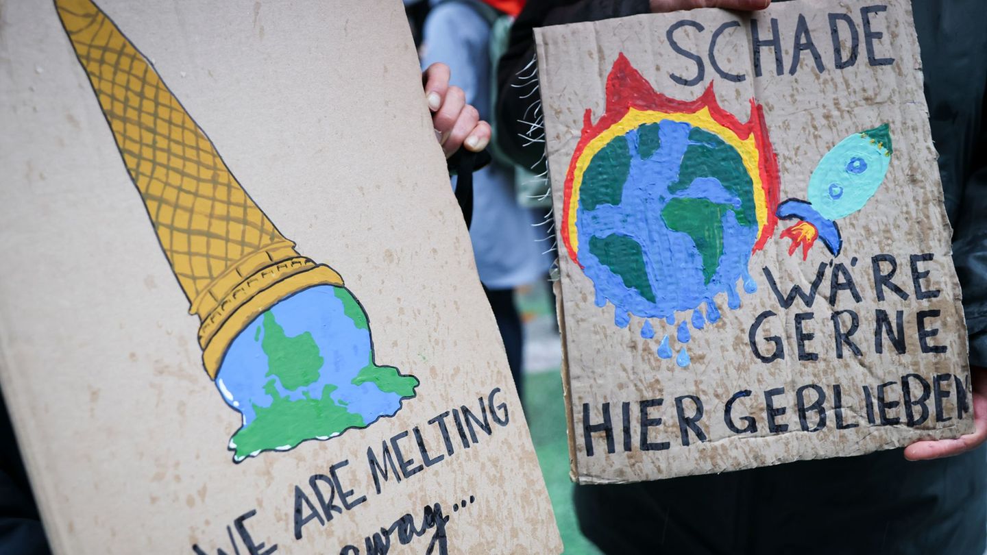 Auf einem Klimaprotest machen Plakate auf die eskalierende Krise aufmerksam. (Symbolbild) Foto: Christian Charisius/dpa