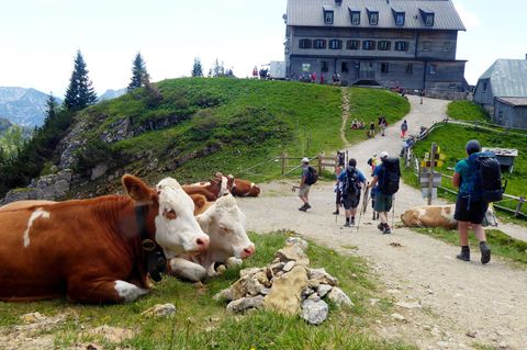 Das Rotwandhaus ist ein beliebtes Wanderziel. (Archivbild) Foto: Angelika Warmuth/dpa