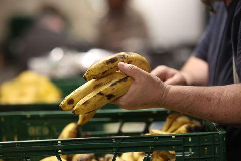 Die Tafeln im Norden spüren die höheren Preise für Kraftstoffe (Symbolbild). Foto: Matthias Bein/dpa