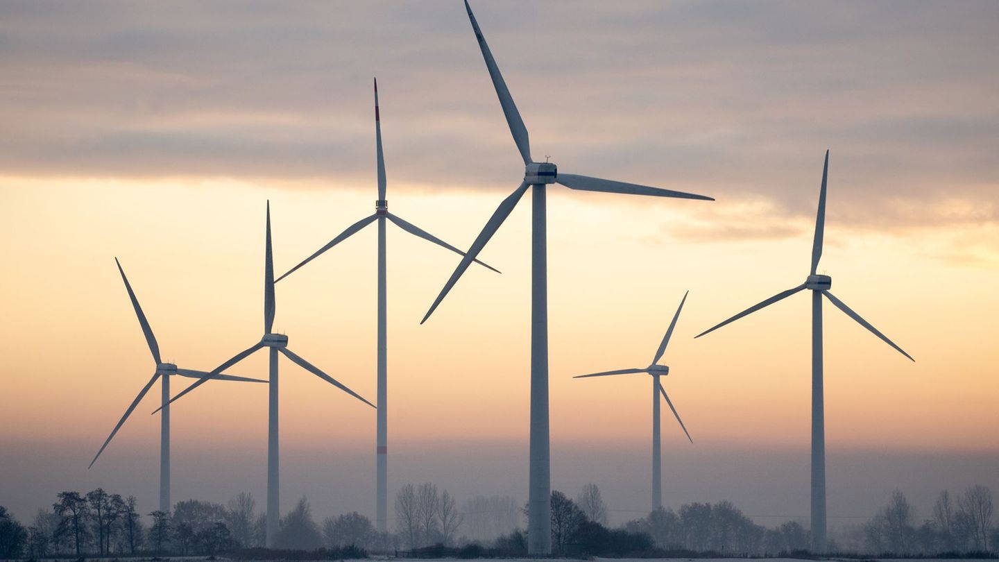 Deutschland hat erstmals seit 2023 wieder mehr Strom ins Ausland verkauft als eingeführt. (Symbolbild) Foto: Hauke-Christian Dit