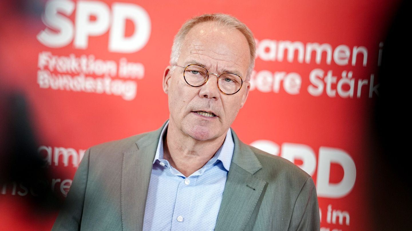 AfD: SPD-Fraktionschef: Demokratie steht massiv unter Druck