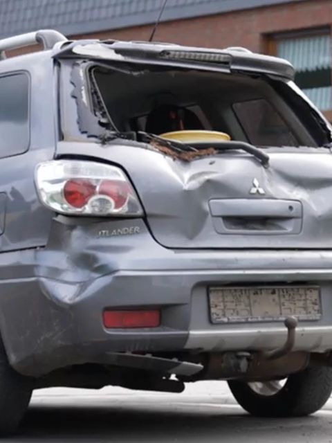 Entlaufener Bulle greift Auto an