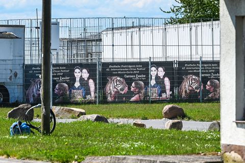 Das Tigergehege genügt laut Behörden nicht an den Anforderungen. Foto: Heiko Rebsch/dpa