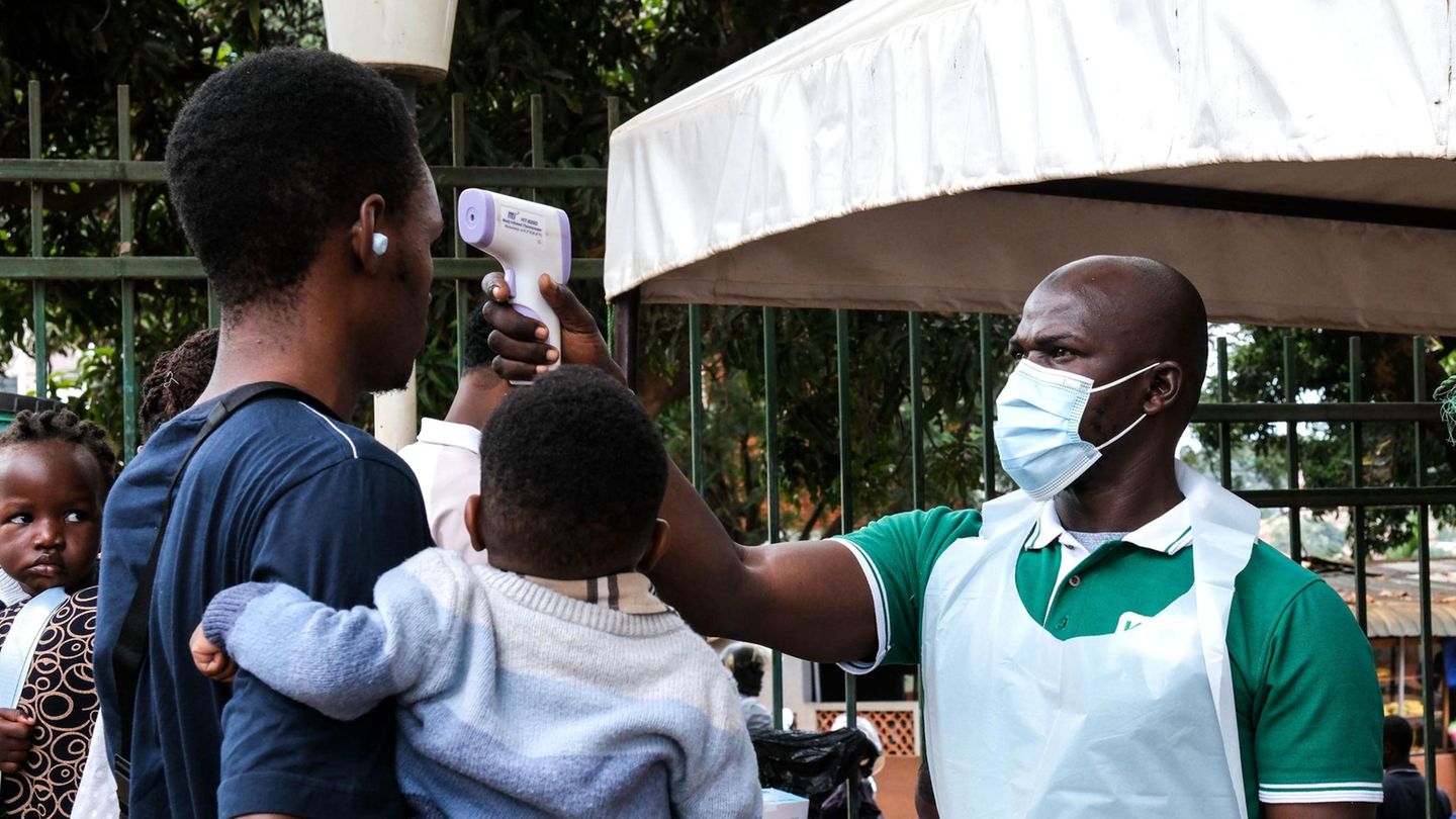 Tödliches Virus: Wie gefährlich wird der Ebola-Ausbruch?