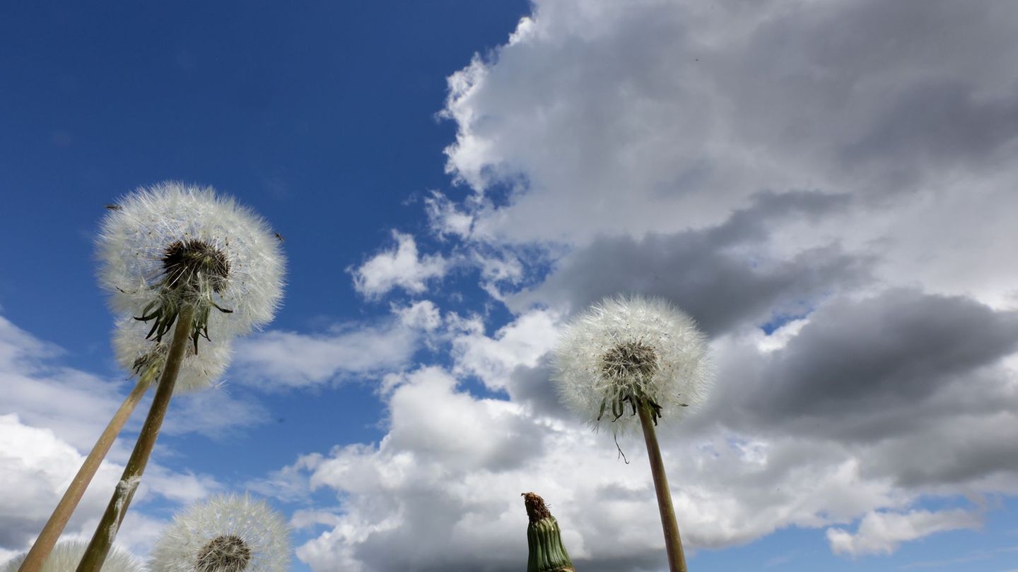 Am Dienstag erwartet Bayern vielerorts ein Sonne-Wolken-Mix. (Symbolbild) Foto: Thomas Warnack/dpa