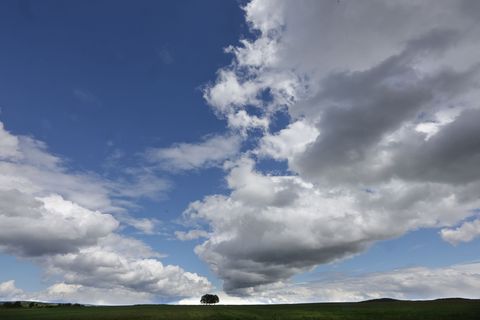 Über immer weniger Regen und immer mehr Sonne können sich die Menschen in Baden-Württemberg in den kommenden Tagen freuen. (Symb