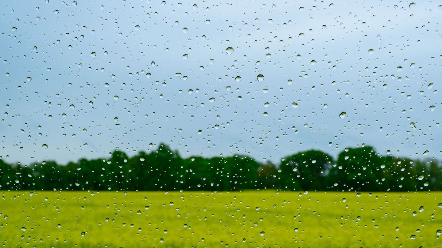 Schauer und Gewitter klingen zum Ende der Woche hin ab. Dabei winken Temperaturen von bis zu 26 Grad. (Symbolbild) Foto: Patrick