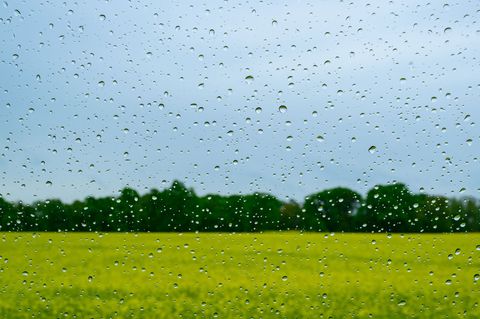 Schauer und Gewitter klingen zum Ende der Woche hin ab. Dabei winken Temperaturen von bis zu 26 Grad. (Symbolbild) Foto: Patrick