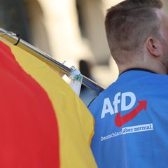 Ein Demonstrant trägt eine gelbe Warnweste mit einem AfD-Logo und der Aufschrift „Deutschland. Aber normal“