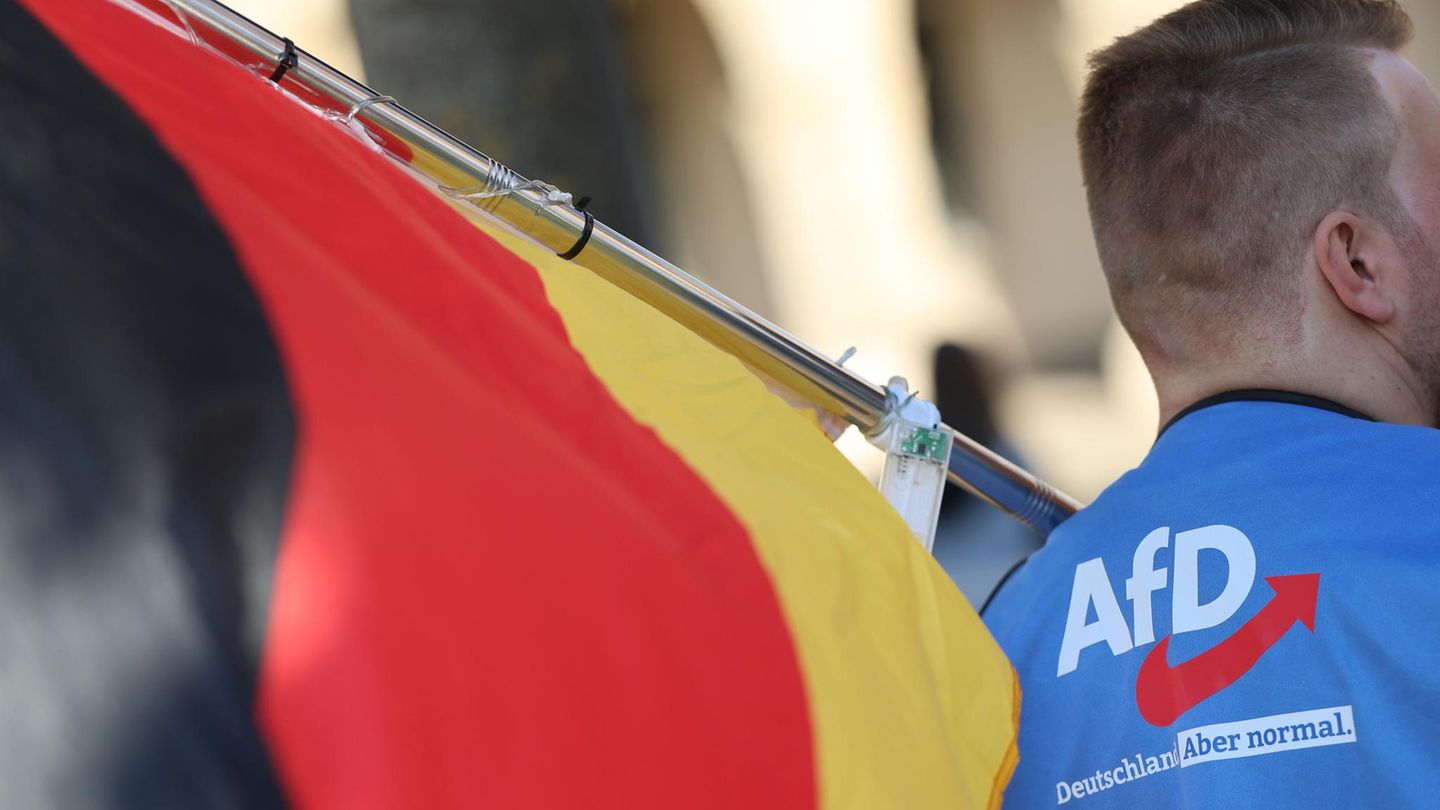 Ein Demonstrant trägt eine gelbe Warnweste mit einem AfD-Logo und der Aufschrift „Deutschland. Aber normal“