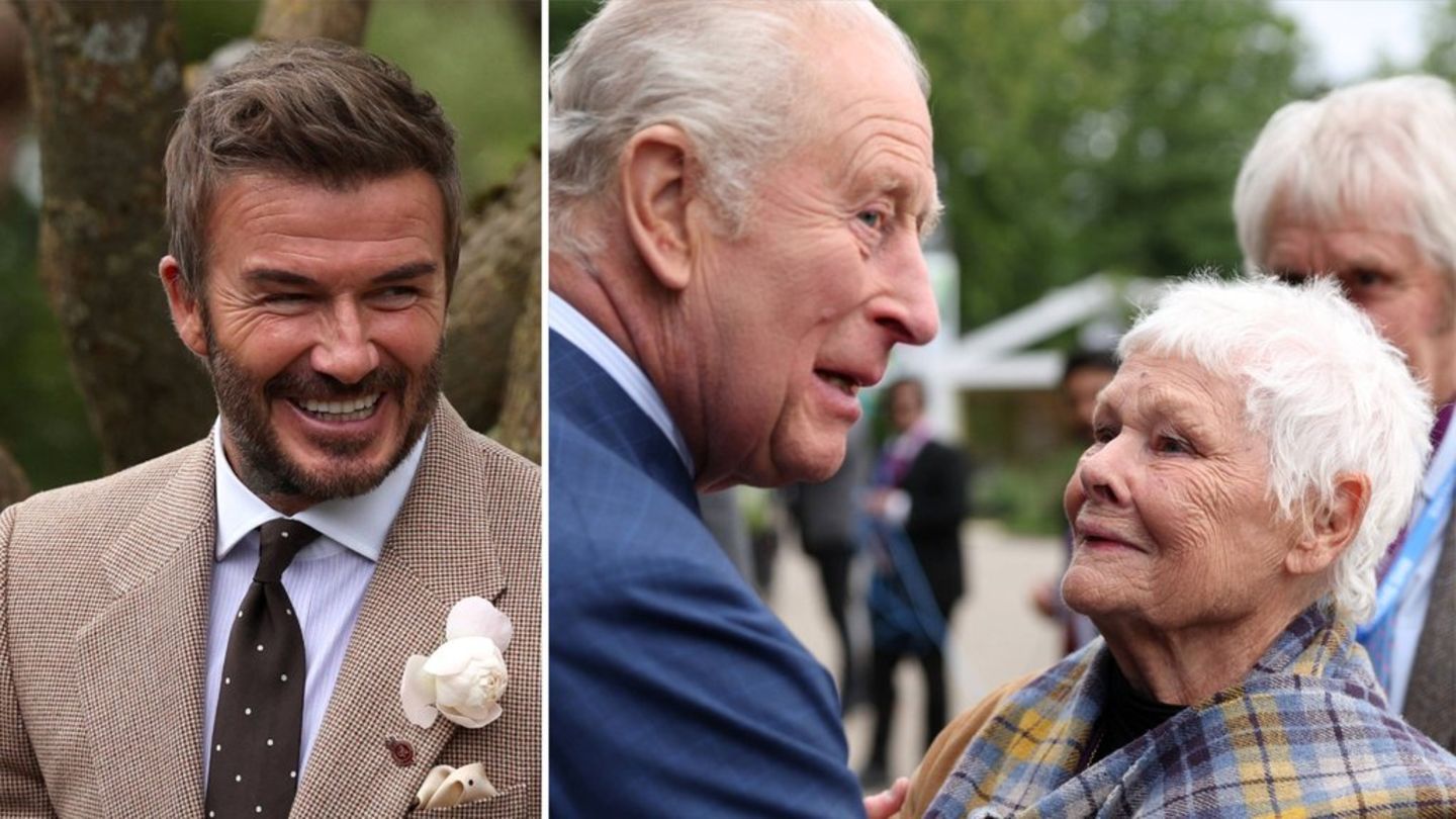 König Charles traf Judi Dench und Sir David Beckham - mit seiner eigenen Rose im Knopfloch - bei der Chelsea Flower Show.