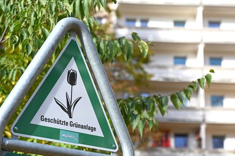 Der Verein BaumEntscheid fürchtet Verzögerungen bei der Umsetzung des Berliner Klimaanpassungsgesetzes. (Archivbild) Foto: Elisa