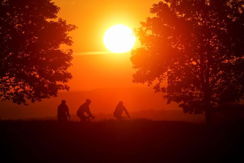 Bis zu 16 Sonnenstunden pro Tag sind am Wochenende möglich. (Archivbild) Foto: Thomas Warnack/dpa