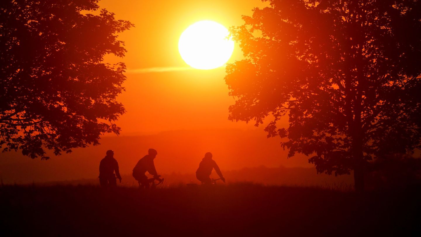 Bis zu 16 Sonnenstunden pro Tag sind am Wochenende möglich. (Archivbild) Foto: Thomas Warnack/dpa