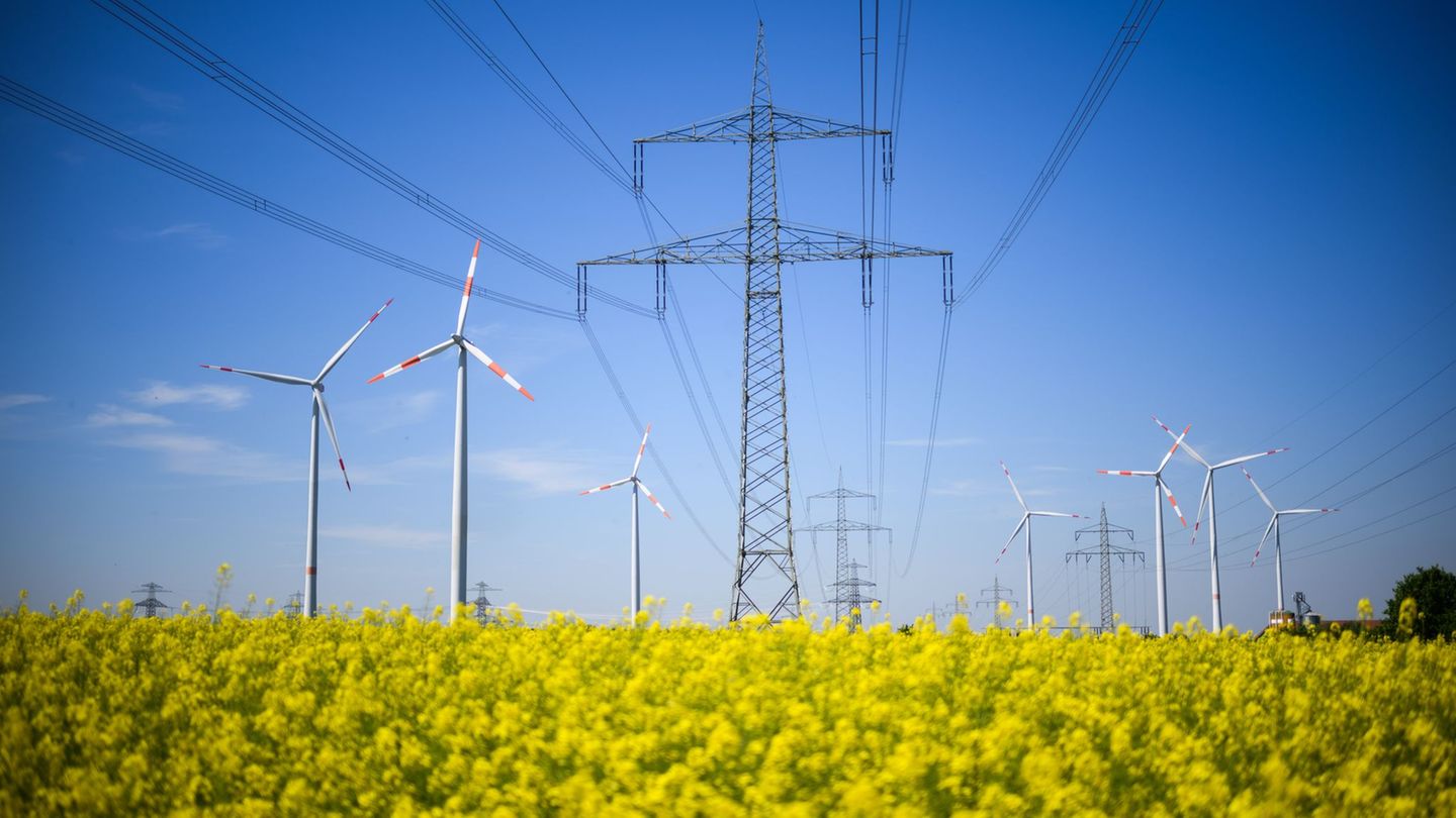 Der weitere Ausbau von Erneuerbaren und Stromnetzen soll ein großes Thema der Energieministerkonferenz werden. (Archivbild) Foto