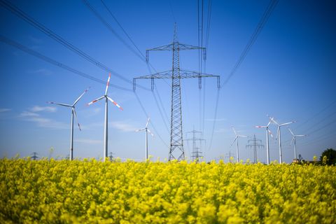 Der weitere Ausbau von Erneuerbaren und Stromnetzen soll ein großes Thema der Energieministerkonferenz werden. (Archivbild) Foto