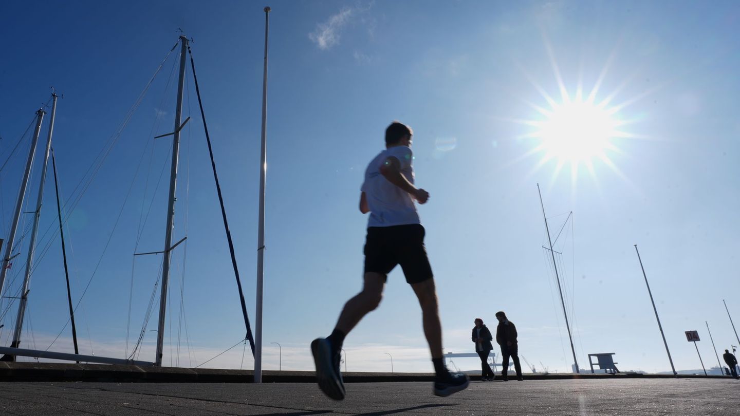 Wie viel Sport für die Gesundheit nützlich ist, ist schon lange Gegenstand der Forschung. (Symbolbild) Foto: Marcus Brandt/dpa