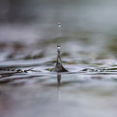 Das Winterhalbjahr ist entscheidend für die Bildung von neuem Grundwasser. (Symbolbild) Foto: Jan Woitas/dpa