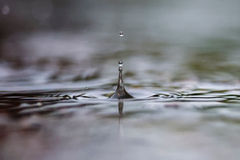Das Winterhalbjahr ist entscheidend für die Bildung von neuem Grundwasser. (Symbolbild) Foto: Jan Woitas/dpa