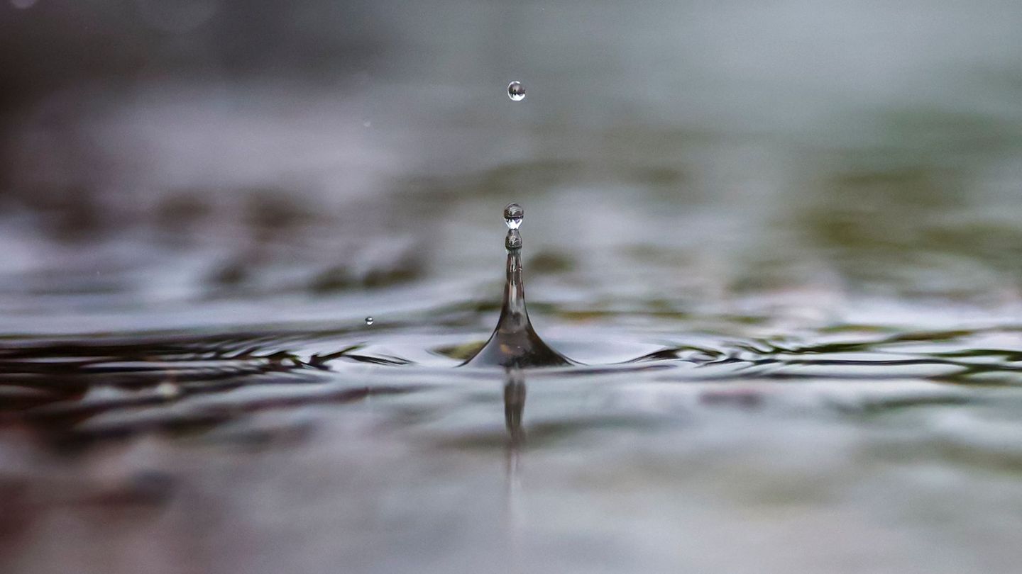 Das Winterhalbjahr ist entscheidend für die Bildung von neuem Grundwasser. (Symbolbild) Foto: Jan Woitas/dpa