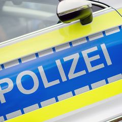 Die Polizei übergab die beiden Kinder an ihre Erziehungsberechtigten. (Symbolbild) Foto: Hauke-Christian Dittrich/dpa