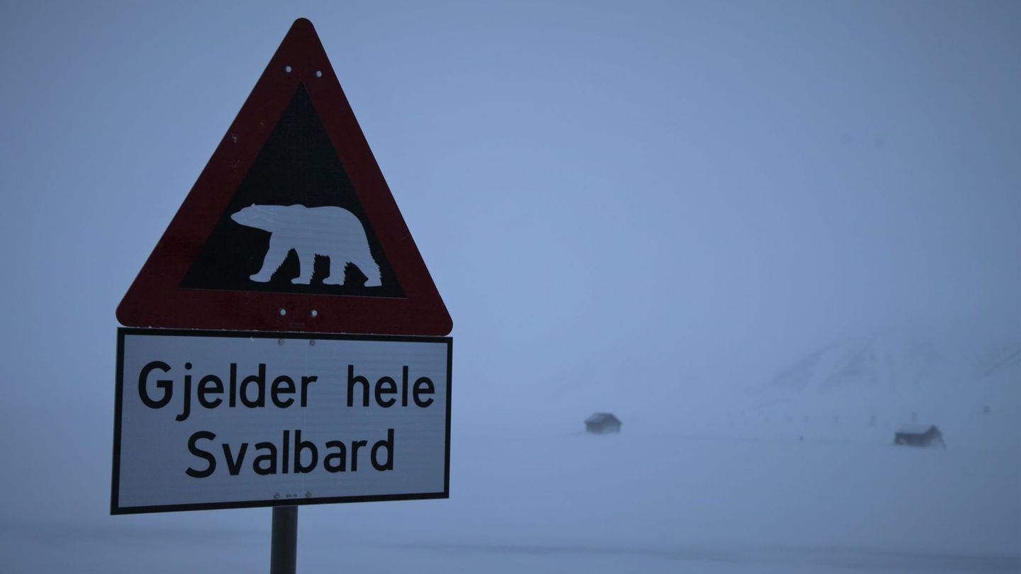 Zum ersten Mal ist in Europa bei einem Eisbären die Vogelgrippe entdeckt worden - und zwar auf der norwegischen Inselgruppe Spit