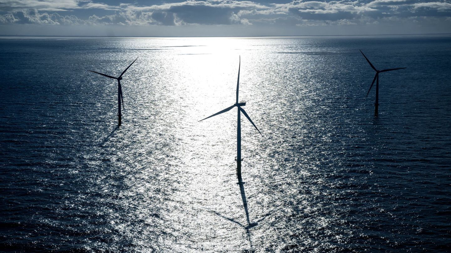 Laut dem Bundeswirtschaftsministerium regelt das Windenergie-auf-See-Gesetz, dass Zuschläge nicht zurückgegeben werden dürften.