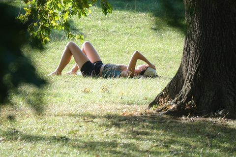 Am Wochenende soll es in Sachsen sommerlich warm werden. (Symbolbild) Foto: Sebastian Willnow/dpa