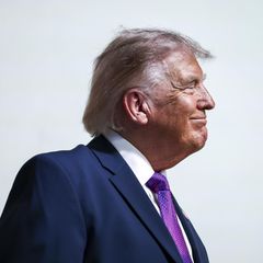 Donald Trump im Profil vor neutralem Hintergrund