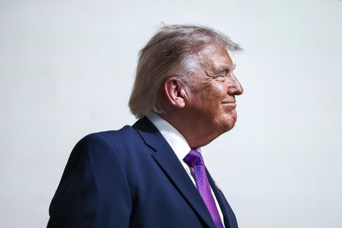 Donald Trump im Profil vor neutralem Hintergrund