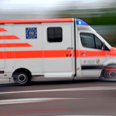 Bei einem Kutschenunfall werden in Gemünden im Westerwald drei Frauen verletzt. (Symbolbild) Foto: Hendrik Schmidt/dpa-Zentralbi
