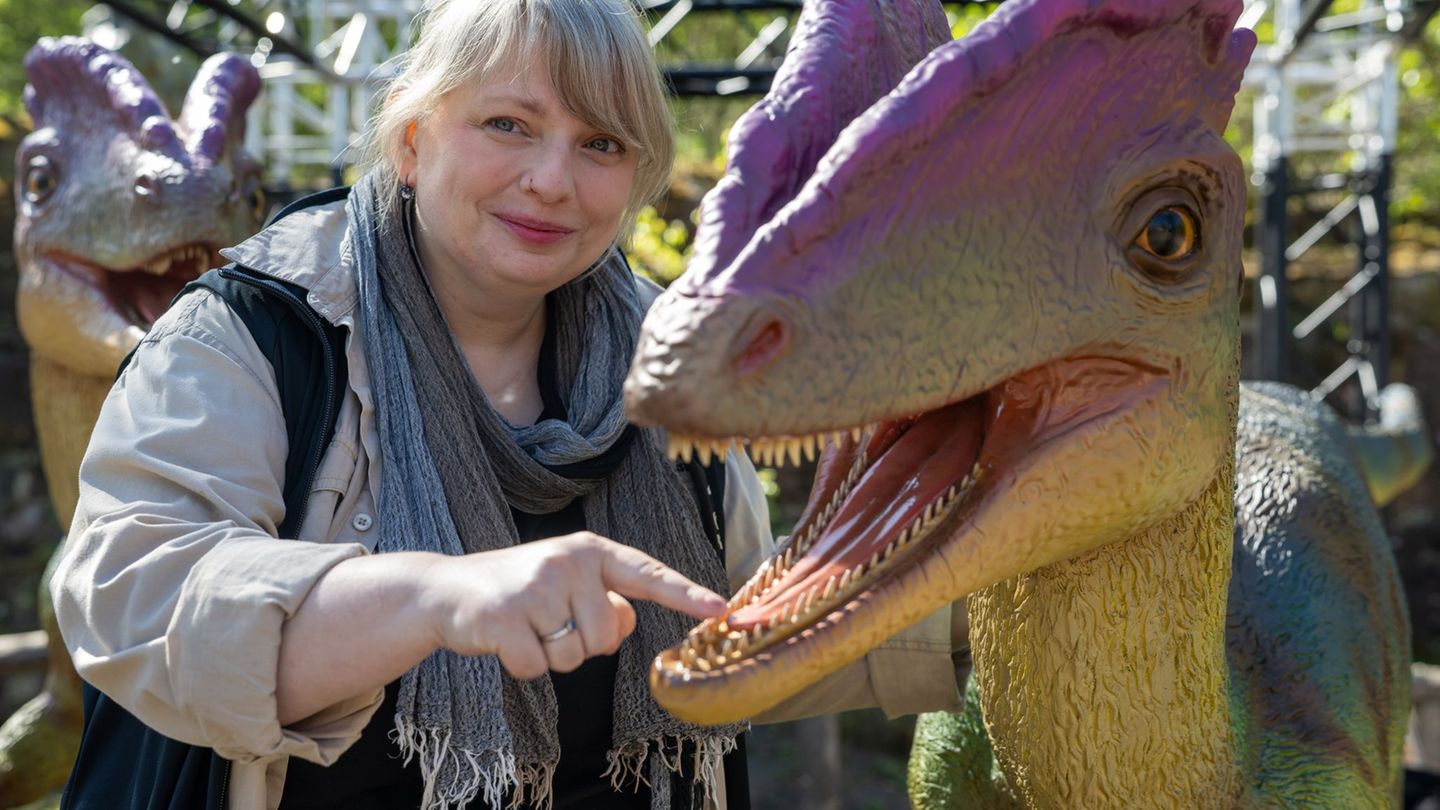 Dino-Knochen, Kriegsschiffe und Goldschätze machen das Bundesland zu einer archäologischen Schatzkammer. (Archivbild) Foto: Hara